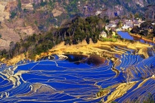 관음 계단식논밭 티켓 할인, 운영 시간, 후기 [2026년] | Trip.com