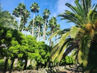 한림공원 티켓 할인, 운영 시간, 후기 [2026년] | Trip.com