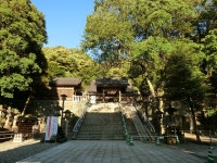 이나바 신사 티켓 할인, 운영 시간, 후기 [2026년] | Trip.com