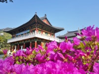 도림사 티켓 할인, 운영 시간, 후기 [2026년] | Trip.com