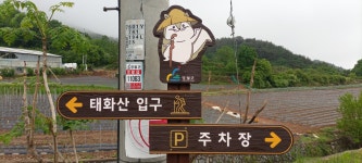 태화산 티켓 할인, 운영 시간, 후기 [2026년] | Trip.com