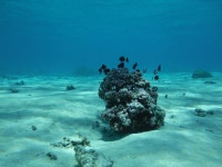 타히티 석호 천국 티켓 할인, 운영 시간, 후기 [2025년] | Trip.com