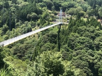 Ueno Sky Bridge 티켓 할인, 운영 시간, 후기 [2026년] | Trip.com