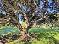 파이오니어 공원 티켓 할인, 운영 시간, 후기 [2025년] | Trip.com