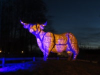 코츠월드 팜 공원 티켓 할인, 운영 시간, 후기 [2026년] | Trip.com