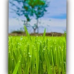 고디세라 뷰 포인트 티켓 할인, 운영 시간, 후기 [2025년] | Trip.com