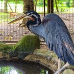 와일드라이프 레스큐 센터 앤드 버즈 공원 티켓 할인, 운영 시간, 후기 [2026년] | Trip.com