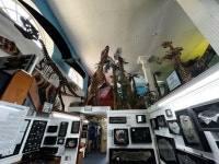 더 코브 호텔 추천, 라임레지스 2025 | 트립닷컴