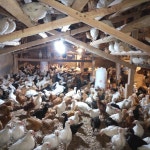 애그리컬쳐 스투던트 가든스 티켓 할인, 운영 시간, 후기 [2026년] | Trip.com