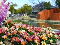 고베 종합운동공원 티켓 할인, 운영 시간, 후기 [2026년] | Trip.com