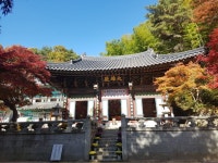 홍룡사 티켓 할인, 운영 시간, 후기 [2026년] | Trip.com