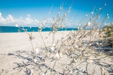 스텀프 패스 비치 주립공원 티켓 할인, 운영 시간, 후기 [2026년] | Trip.com