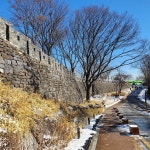 남산 둘레길 진입로 티켓 할인, 운영 시간, 후기 [2026년] | Trip.com