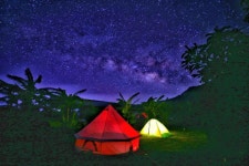 Pure Green Eco Farm 티켓 할인, 운영 시간, 후기 [2026년] | Trip.com