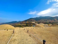 창녕박물관 티켓 할인, 운영 시간, 후기 [2026년] | Trip.com