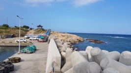 월전항 방파제 등대 티켓 할인, 운영 시간, 후기 [2026년] | Trip.com