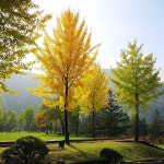 다리안 관광지 티켓 할인, 운영 시간, 후기 [2026년] | Trip.com