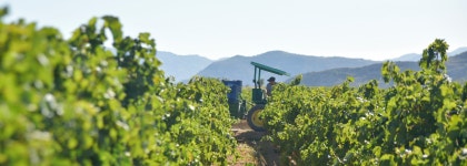 Vlassides Winery 티켓 할인, 운영 시간, 후기 [2026년] | Trip.com