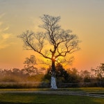 디로이 보고리 세포리 공원 티켓 할인, 운영 시간, 후기 [2025년] | Trip.com