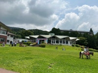 Petting Zoo 티켓 할인, 운영 시간, 후기 [2026년] | Trip.com