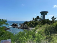 경주 양남 주상절리 전망대 티켓 할인, 운영 시간, 후기 [2026년] | Trip.com