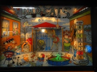 American Museum of the House Cat 티켓 할인, 운영 시간, 후기 [2026년] | Trip.com