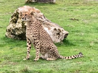 Zoo Arcachon Basin 티켓 할인, 운영 시간, 후기 [2026년] | Trip.com