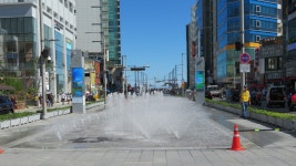 고운바다길분수 티켓 할인, 운영 시간, 후기 [2026년] | Trip.com