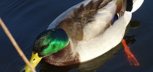 엘트 여행 가이드(2025년): 인기 관광지, 교통, 날씨 등 (업데이트 날짜: 2025년 11월) | Trip.com