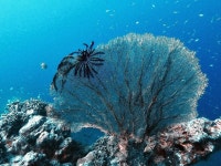 수린 섬 국립공원 티켓 할인, 운영 시간, 후기 [2026년] | Trip.com