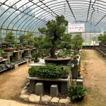 귀족호도박물관 티켓 할인, 운영 시간, 후기 [2025년] | Trip.com