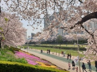 온천천 시민공원 티켓 할인, 운영 시간, 후기 [2026년] | Trip.com