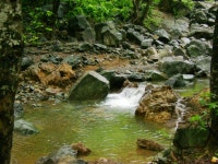 툰가렛워 와일드라이프 보호구역 티켓 할인, 운영 시간, 후기 [2025년] | Trip.com