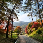 법흥사 티켓 할인, 운영 시간, 후기 [2026년] | Trip.com