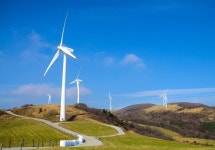 대관령 하늘목장 티켓 할인, 운영 시간, 후기 [2026년] | Trip.com