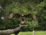 Crag Cave 티켓 할인, 운영 시간, 후기 [2026년] | Trip.com
