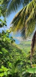 Le Morne Gommier 티켓 할인, 운영 시간, 후기 [2026년] | Trip.com