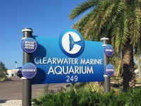 클리어워터 마린 수족관 티켓 할인, 운영 시간, 후기 [2026년] | Trip.com