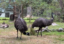 포토루 팰리스 티켓 할인, 운영 시간, 후기 [2026년] | Trip.com