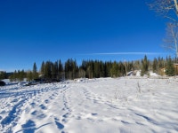 로키 뷰 카운티 데이즈 인 숙소 추천 및 특가 예약 | 트립닷컴