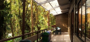 Monteverde 여행 가이드(2025년): 인기 관광지, 교통, 날씨 등 (업데이트 날짜: 2025년 11월) | Trip.com