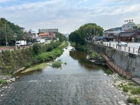 수원천 티켓 할인, 운영 시간, 후기 [2026년] | Trip.com