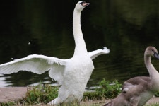 슈타트 모어스 공원 티켓 할인, 운영 시간, 후기 [2026년] | Trip.com