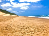 Sodwana Bay 티켓 할인, 운영 시간, 후기 [2026년] | Trip.com