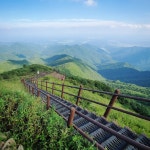 소백산 티켓 할인, 운영 시간, 후기 [2026년] | Trip.com