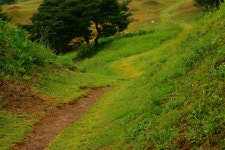 불로동 고분군 티켓 할인, 운영 시간, 후기 [2026년] | Trip.com