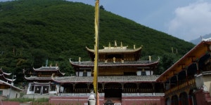 다지 사원 티켓 할인, 운영 시간, 후기 [2026년] | Trip.com