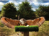 Ash End House Childrens Farm 티켓 할인, 운영 시간, 후기 [2026년] | Trip.com