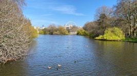 공원 식물원 명소 2번째 페이지 - 꼭 가봐야하는 시드컵 명소 390개 - 여행의 시작, 트립닷컴