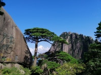 Dongyiwan Seafood Restaurant - 포산 여행 리뷰｜트립닷컴 트립 가이드